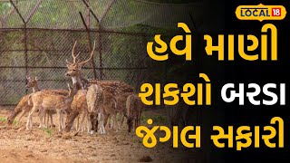 Porbandar News: બરડા જંગલ સફારી વિશે જાણો A to Z, દિવાળી પહેલા લોકોને મળશે ભેટ |#local18