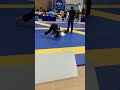 ibjjf sd open match 5 shye lilly