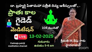 DAY- 96-శ్రీమతి M.శేషు గారు హైదరాబాద్-ప్రాతః కాల గైడెడ్  మెడిటేషన్-Padmaja Patriji  Meditation