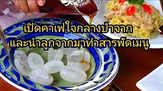 เปิดคาเฟ่ใจกลางป่าจาก พร้อมนำลูกจากมาทำสารพัดเมนูให้ลูกค้าได้กิน