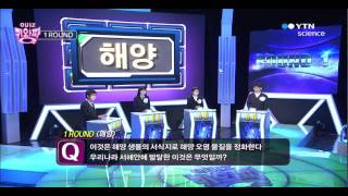 QUIZ 킹왕짱 1회 / YTN 사이언스