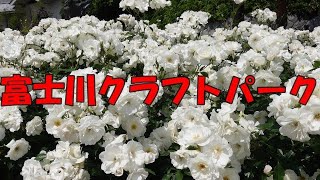 【Vlog】富士川クラフトパーク薔薇