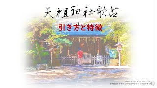 天祖神社歌占の引き方と特徴