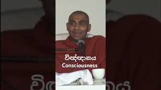 විඥ්ඥානය සහ නිවන Consciousness \u0026 Liberation (Eng Subs) #shorts #wangeesa #akaliko #motivation