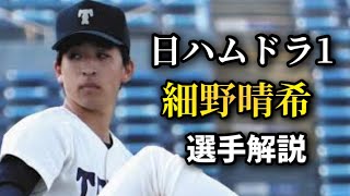 【ドラフト指名選手】日ハムドラ1細野晴希　大学No.1左腕最速158キロ　将来性◎【北海道日本ハムファイターズ】