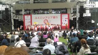 肥後真狗舞 ふくこいアジア祭り2014 メイン会場