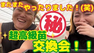 【多肉植物】【ガーデニング】またまたやったりました‼️💪✨超高級苗✨横浜フェスの交換会‼️2023年3月8日