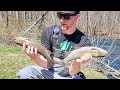 Trout Fishing a pond stacked with Trout!