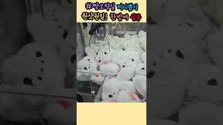 짱오락실 #미니뽑기성공 500원의 행복😸 #쇼츠영상 #clawmachine #cranegame