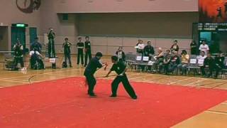 Wu Dip Seung Do Daan Jiu  Butterfly Double Swords Techniques