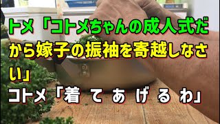 【スカッとひろゆき】トメ「コトメちゃんの成人式だから嫁子の振袖を寄越しなさい」 コトメ「着　て　あ　げ　る　わ」