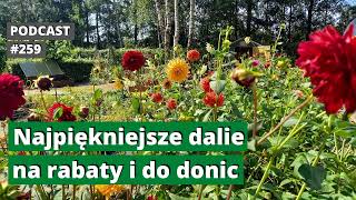 259. Najpiękniejsze dalie na rabaty i do donic. Podcast.