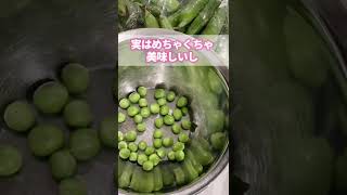 【便秘解消】90%の人が知らない。腸も肌もキレイになるあの野菜。#short #便秘解消 #便秘 #腸活