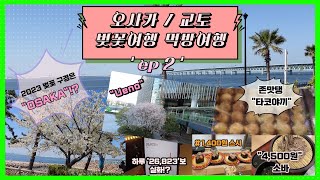 일본 n차 여행러가 알려주는 오사카 여행 1박 2일 완전 정복! | #일본오사카여행 #회전스시타코야끼메밀소바우동맛집 #난바 #오사카우메다한큐리스파이어호텔후기 #오사카벚꽃투어