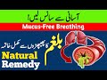 Drink 1 Cup To Clear Phlegm / Mucus From Lungs | How To Remove Mucus From Lungs