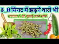 मेथी दाना खाने के फायदे | benefit of fenugreek seeds, methi dana khane ke fayde