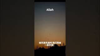 穆圣 #古兰经 #穆罕默德 #allah #islam #kuran