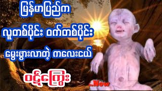 လူတစ်ပိုင်း/ဝက်တစ်ပိုင်း/ ထူးဆန်းတဲ့ ဝဋ်ကြွေး