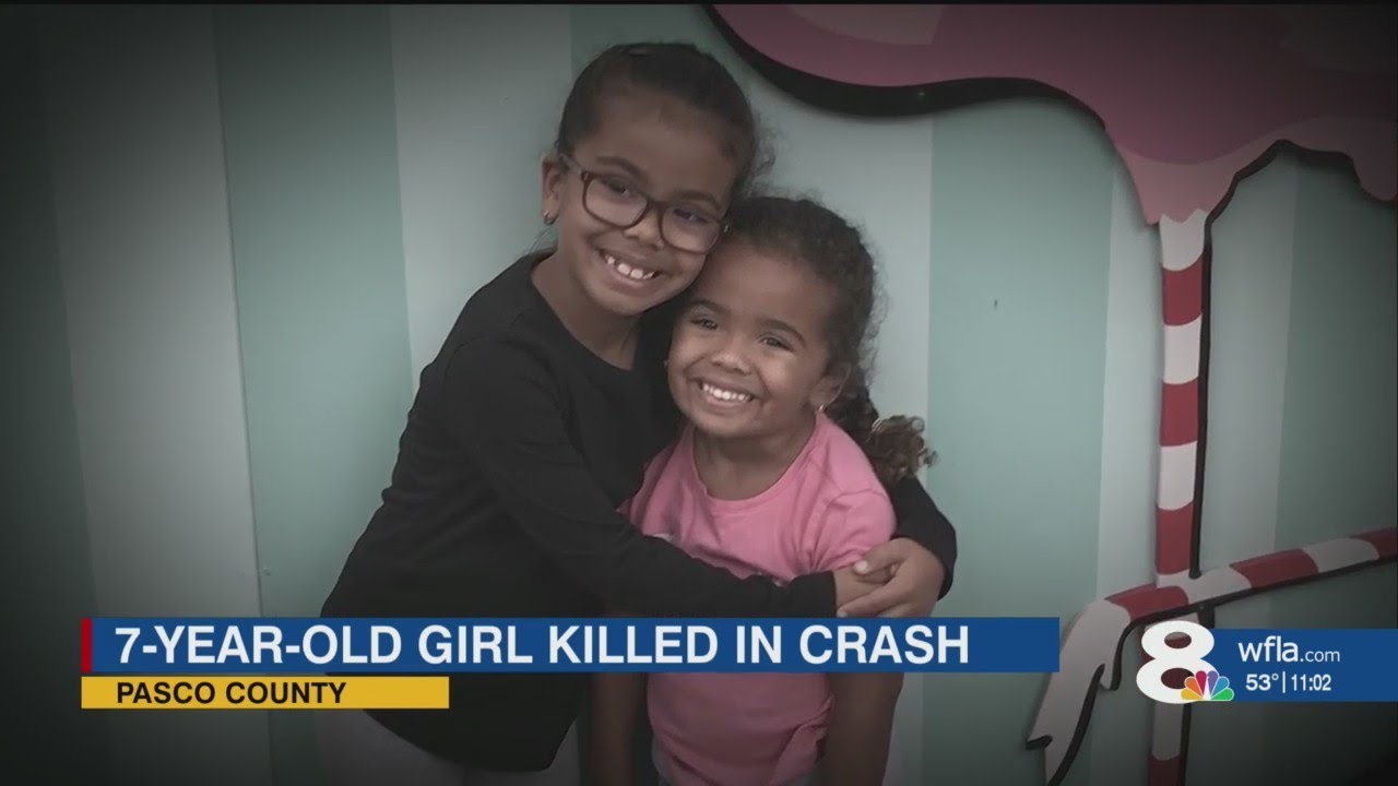 7-year-old Girl Who Died After Pasco County Crash Remembered As Loving ...