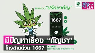 มีปัญหาเรื่องกัญชา โทรสายด่วนปรึกษากัญ 1667 ช่วยได้ l สุขหยุดโรค l 03 07 65