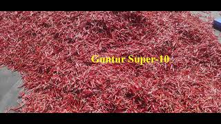 Guntur Super-10 Exports