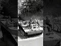 LVT-4 Amtrak Violator crossing a river, Philippines 1944  #ytshort #ww2 #rivercrossing #memories