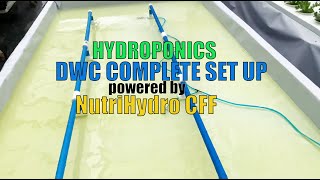 Hydroponics DWC COMPLETE SET UP powered by NutriHydro CFF