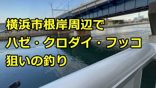 2023.11.30 神奈川県横浜市根岸周辺で釣り