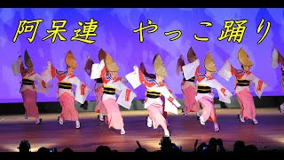 【4K】阿呆連やっこ踊り！！＠阿波おどり・はなはるフェスタ2023　あわぎんホール