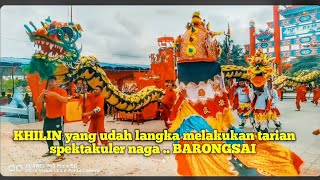 melihat kekompakan tionghoa di jawai ..paduan seni dan budaya yg indah KHILIN NAGA BARONGSAI