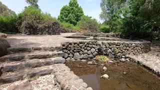 ISRAEL - Eden Springs מעיינות עדן