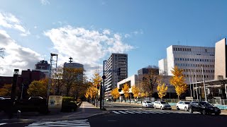 #41   2019年11月　札幌　JR 札幌駅からウォーキング