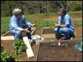 Raised Bed Materials with Walter Reeves