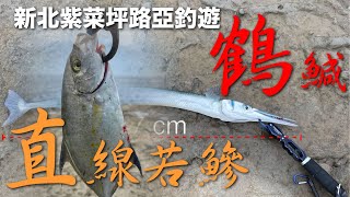 終於中魚啦~開心~原來新北紫菜坪真的還有魚！2023.07.31新北紫菜坪路亞釣遊[我沒錢所以邊釣魚邊旅行]