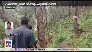 പുലിപ്പേടിയില്‍ കലഞ്ഞൂര്‍, പുലിയെ കണ്ട് ഭയന്നോടിയ തൊഴിലാളിക്ക് വീണ് പരുക്ക് | Pathanamthitta | Tiger