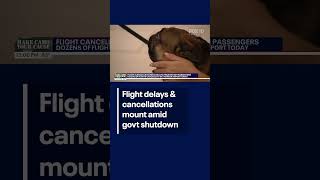 Flight cancellations and delays mount at Sky Harbor amid shutdown | FOX 10 Phoenix