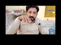 ustad mithu lali u0026 ustad hassan lali k breeder new pigeon video kabootarbazi