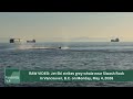 Grey Whale Struck By Jet Ski
