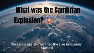 What Was the Cambrian Explosion? Explained in Under 4 minutes