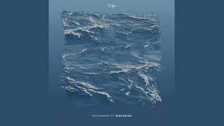 The Consonance Trio - Trip