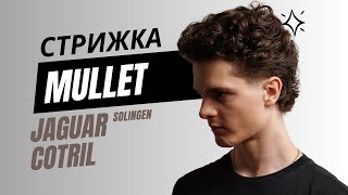 MULLET / Чоловіча стрижка Малет - COTRIL / JAGUAR