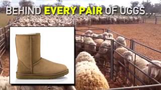 The Ugly Truth Behind UGGs