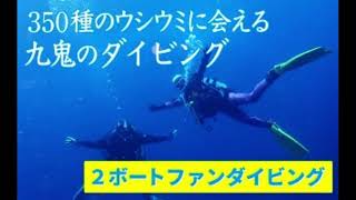 三重県 尾鷲市350種の美しい ウミウシ が魅力 【 ２ボートファンダイビング】 オールシーズン 海 ツアー マリンスポーツ 三重県 尾鷲市 九鬼 　DI 3