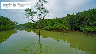 ভিতরকানিকা ম্যানগ্রোভ বনের শিকারীদের সাথে দেখা করুন