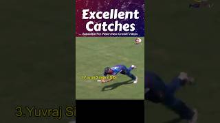 Who is the Best ? 🥶🔥 | EXCELLENT Catches ! #cricket #icc #indiacricket