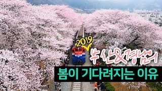 2019 부산경남의 봄이 기다려지는 이유