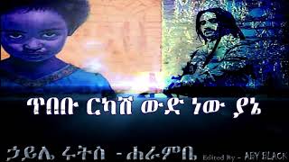 ኃይሌ ሩትስ ሐራምቤ _ haile roots harambe lyrics