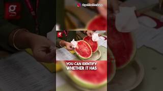 തണ്ണിമത്തനിലും മായം. #kerala #watermelon #foodsafetytraining #shorts