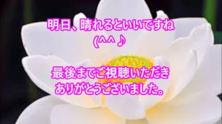 【齋藤一人さん】#176「気軽にね」まじめすぎて物事を重く考えてしまう人へ。「そうだよね、わかるよ。」も上手に使って、来世まで幸せになれるお話です。