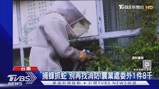 「捕蜂抓蛇」別再找消防! 農業處委外1件8千｜TVBS新聞 @TVBSNEWS02